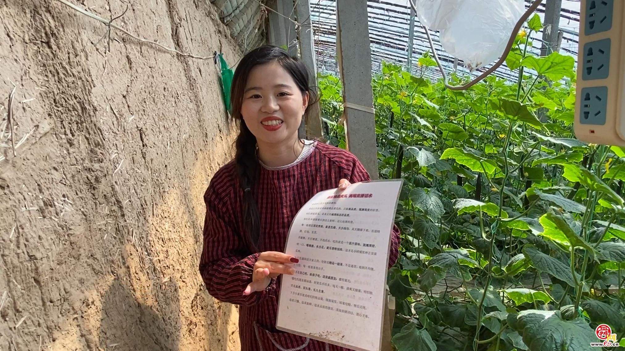 融媒·先锋丨父辈脚踏实地深耕沃土，青年科技赋能助力兴农——  瓜棚父子兵