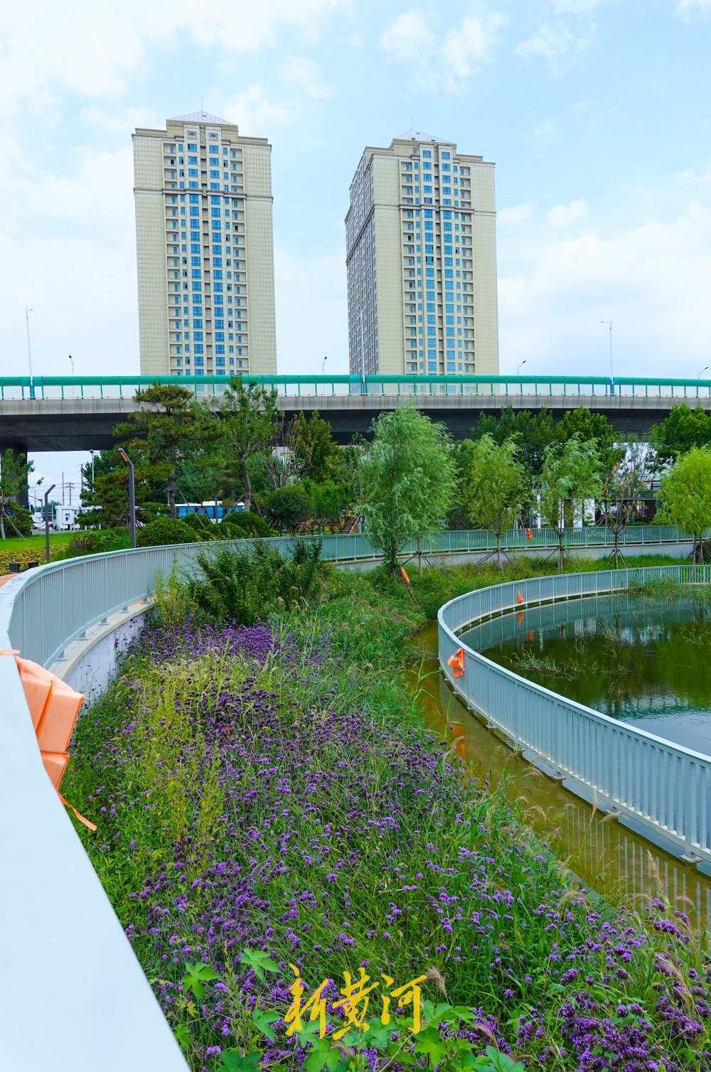济南：北太平河河道改造 沿河公园为周边居民添新景