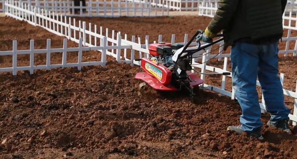 在济南,当“开心农场”照进现实