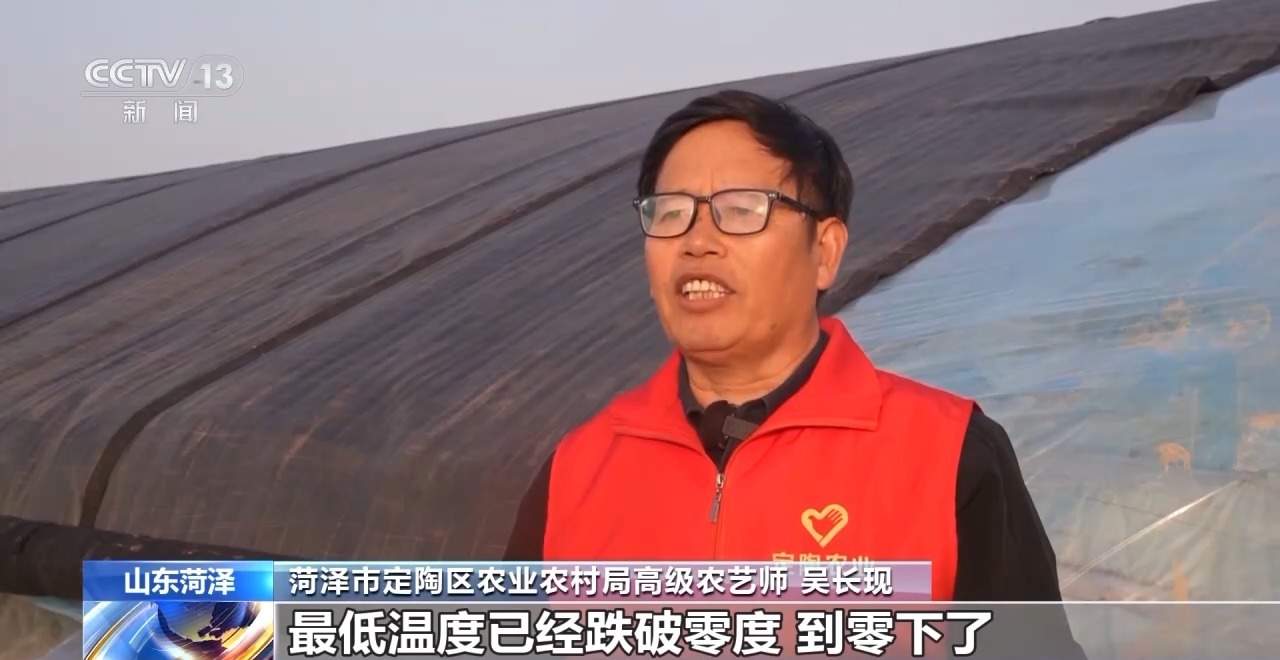 应对强降温 农技专家深入田间守护蔬菜过寒冬