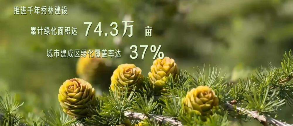 跟着总书记的考察足迹｜瞰雄安