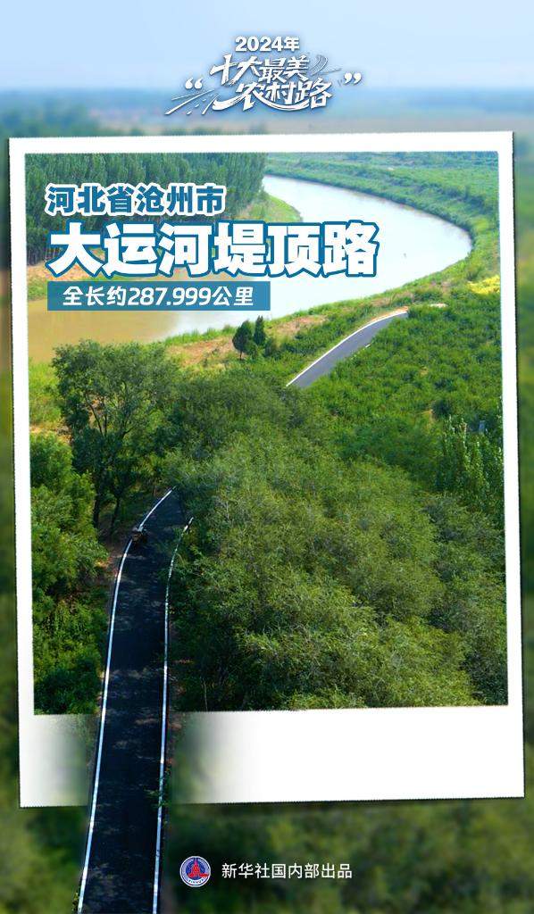 2024年“十大最美农村路”公布，一起去看“诗和远方”吧
