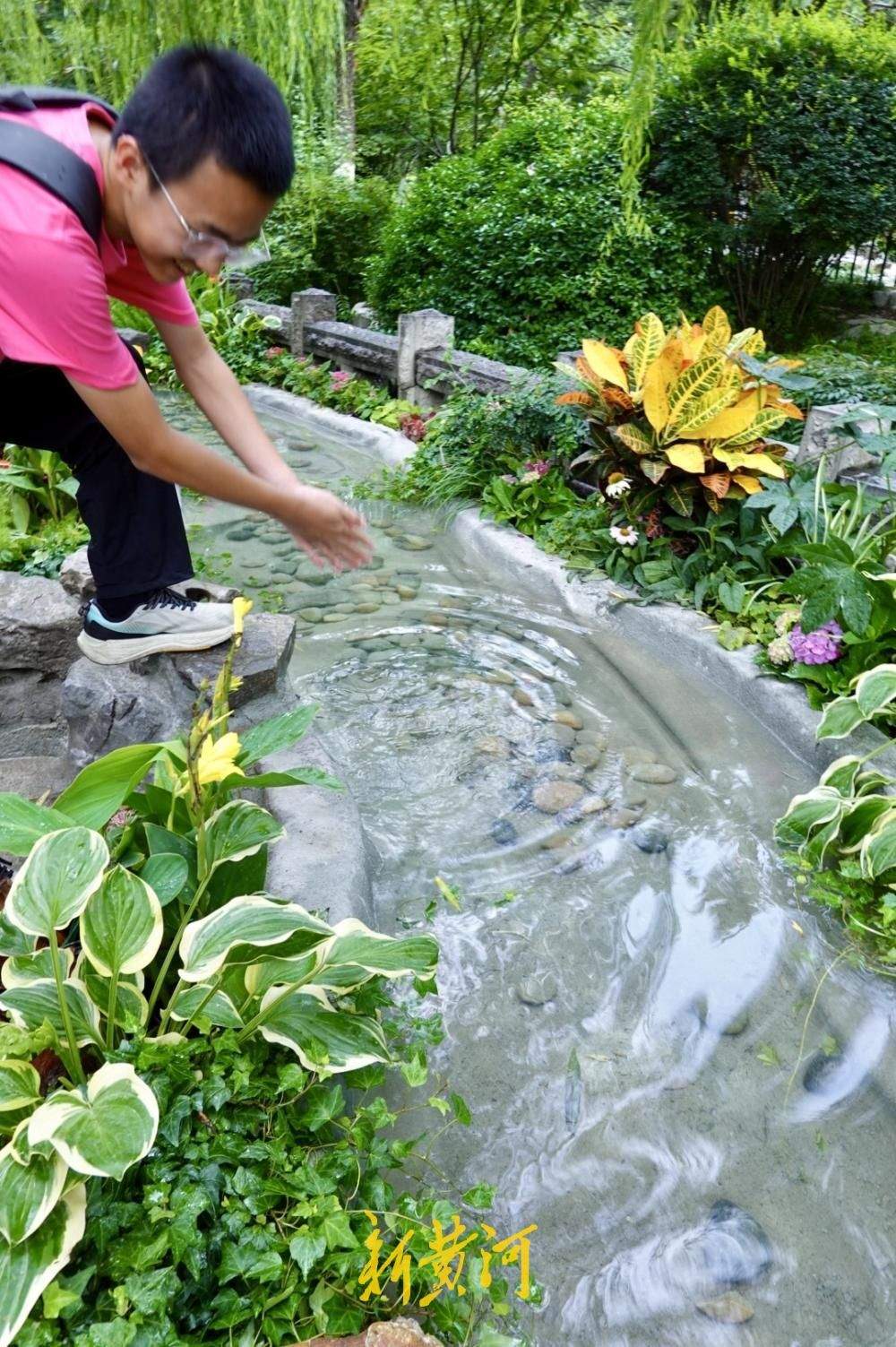泉水景致焕新 解锁济南夏日泉水纳凉新体验
