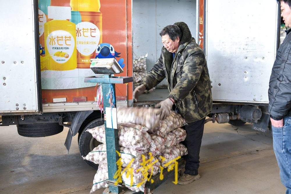 腊八节临近大蒜需求升温，价格与往年同期持平