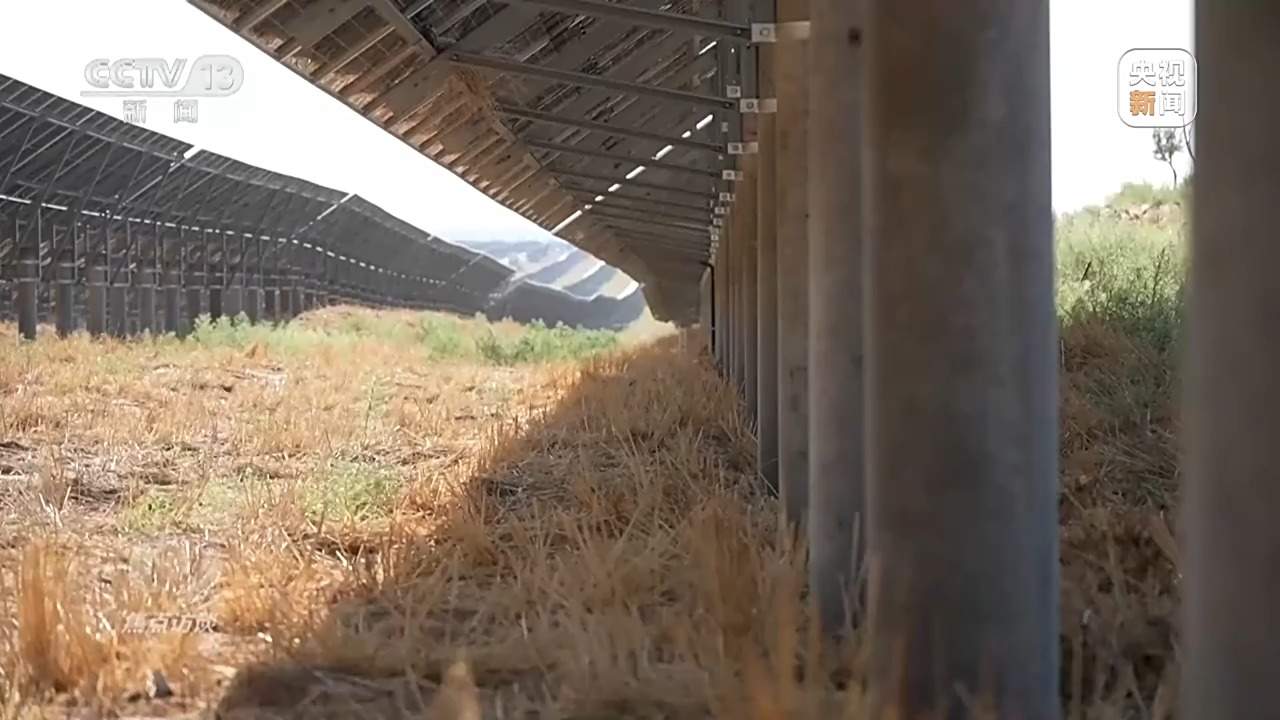 让荒漠添绿又生金 看“三北”的生态蝶变