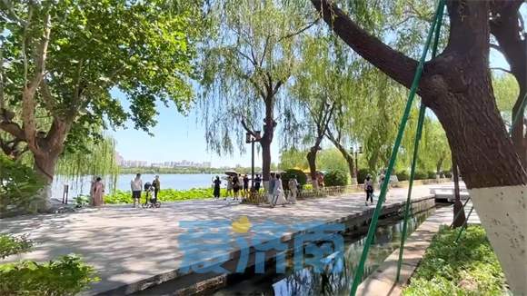大明湖持续改造新绿道，遐园与文庙同框
