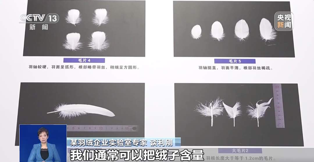 300元到底能不能买一件真羽绒服?