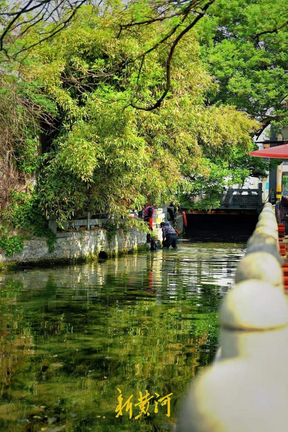 济南：小桥流水人家 春日于家桥景如夏