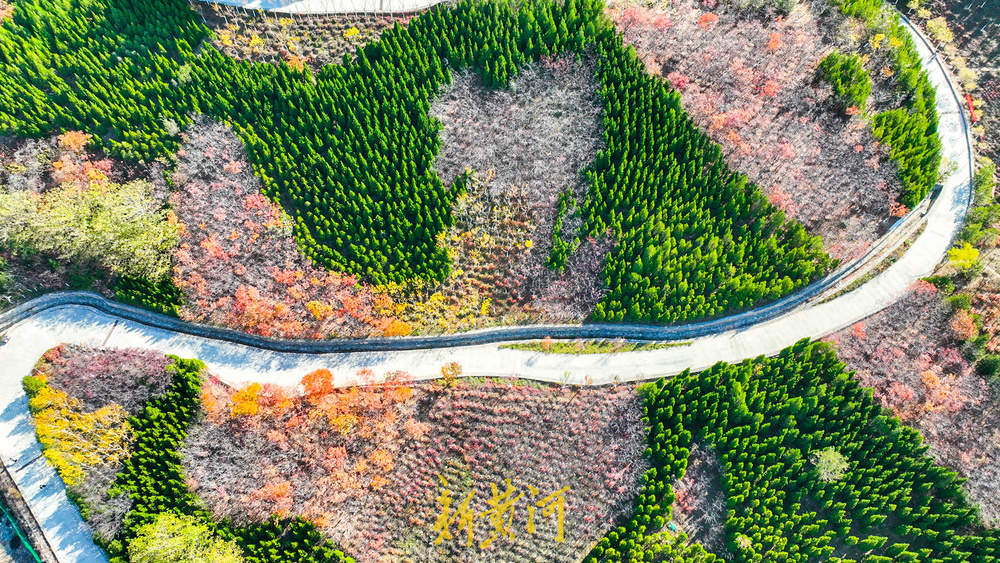 济南明天降雨上线，周日降温来了，最低气温将降至4~8℃