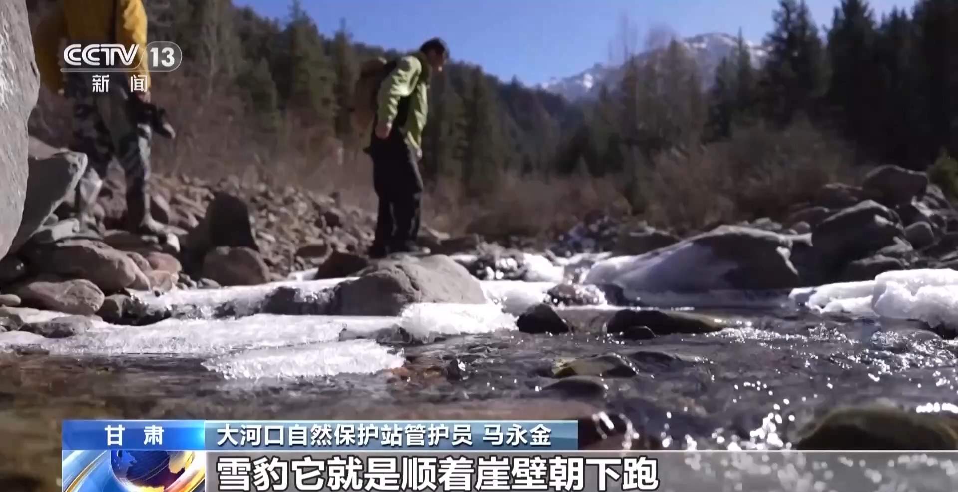 雪豹、岩羊频频露脸 祁连山稳步迈向“由治及美”