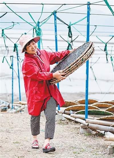 全国首单蓝碳拍卖，在这里落槌！