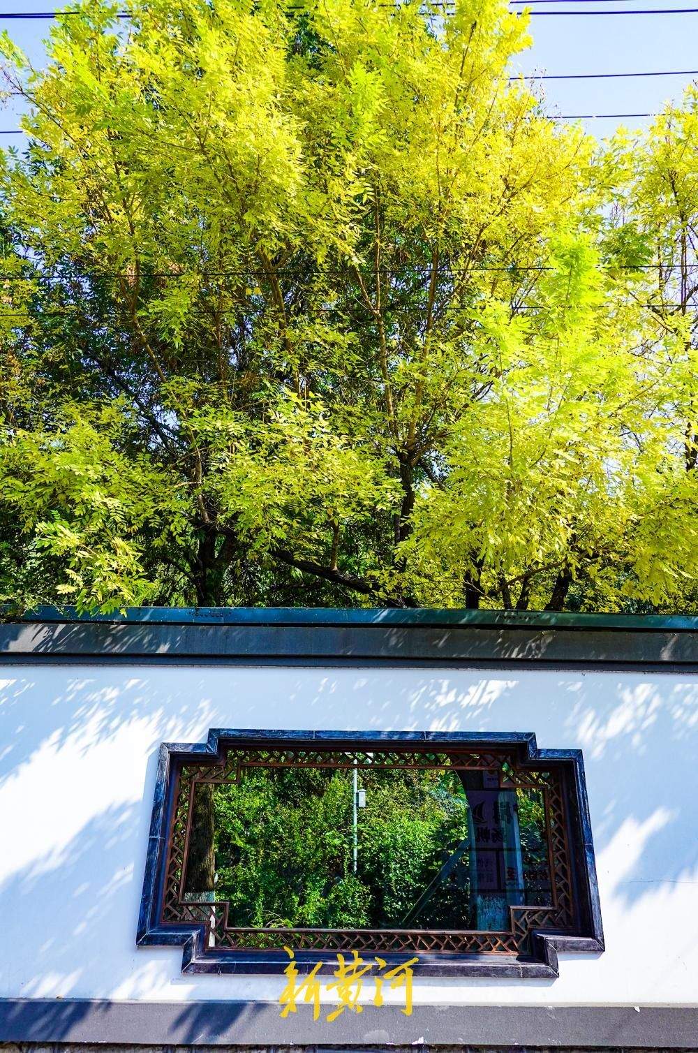 一年四季 泉在济南丨西更道街八扇窗“框”住珍珠泉深秋美景