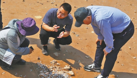 几十年接力发掘，他们翻开镌刻在泥土里的万年史书