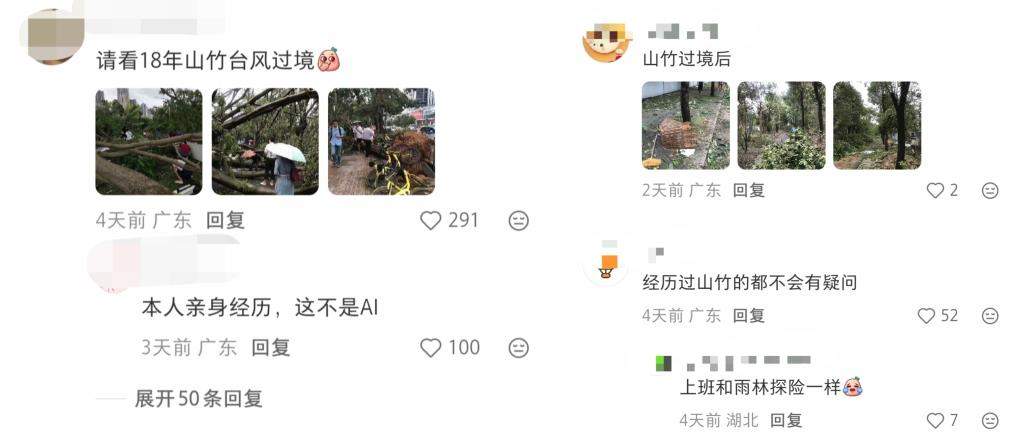 树木“长发”变“寸头”，到底是为啥？