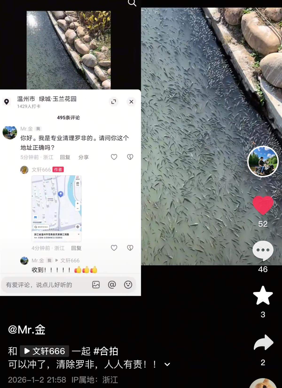温州苍南一小区附近河道挤满罗非鱼,物业:基本是自然生长的,没有人投喂