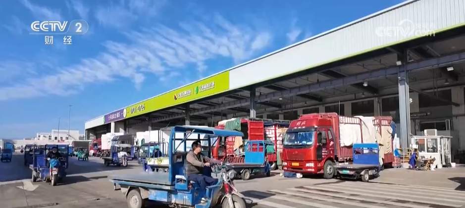 时令蔬菜大量上市丰富“菜篮子” 冬日餐桌“鲜”气十足