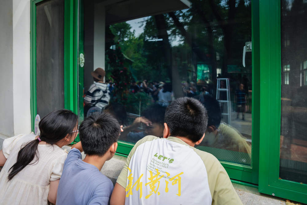 大熊猫“华奥”庆生现场超有范儿！竹子蛋糕、荷花宴引游人粉丝围观