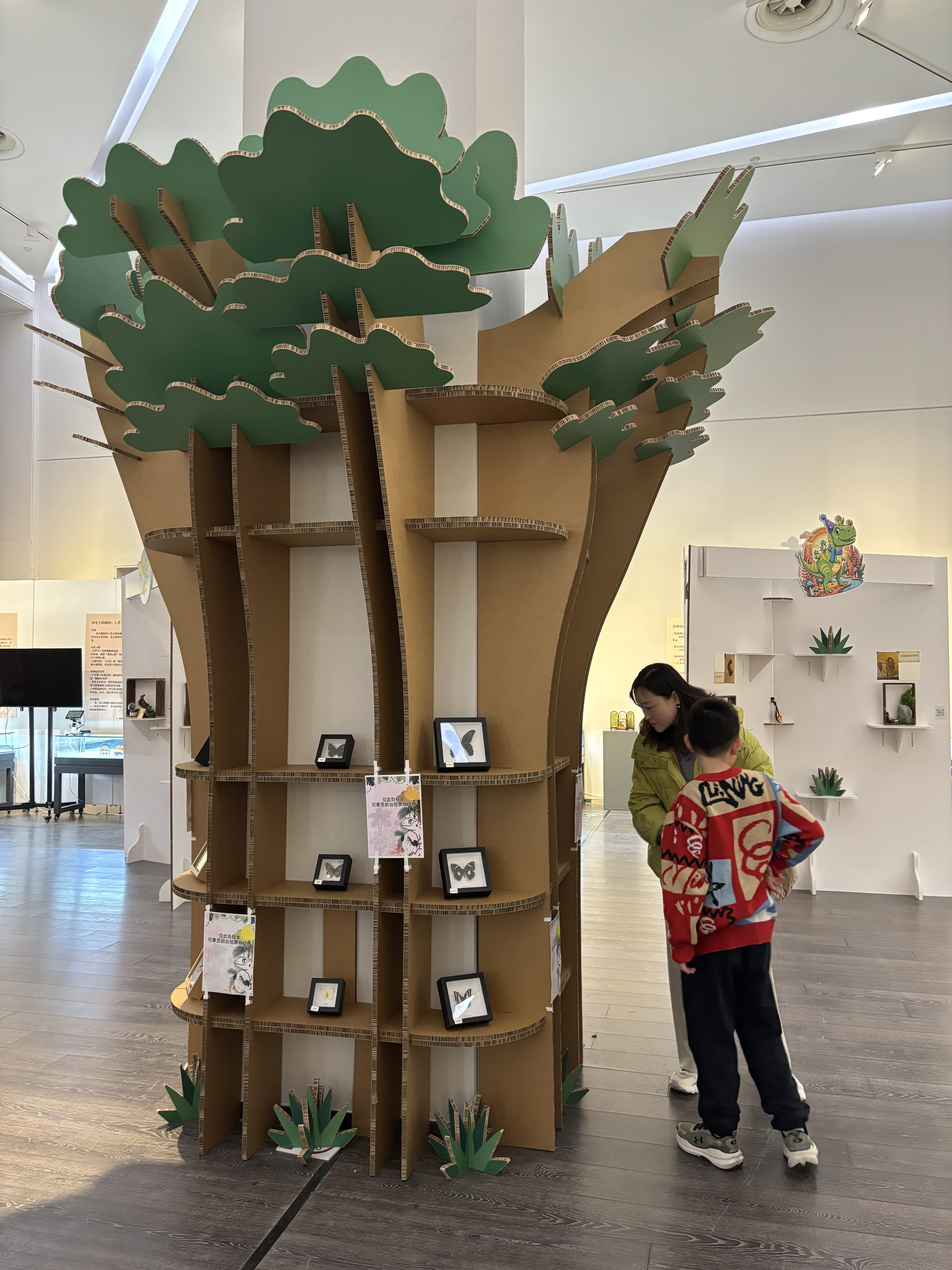 “时光印记”爬宠特展亮相泉城：在琥珀与活体间，探寻亿万年的生命回响