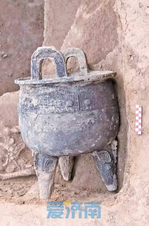 大辛庄考古遗址公园迎来重大进展