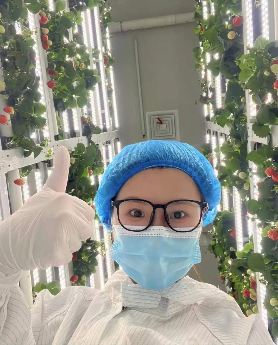 “我的论文被谁偷吃了” 农学生毕业论文惨遭“毒手”