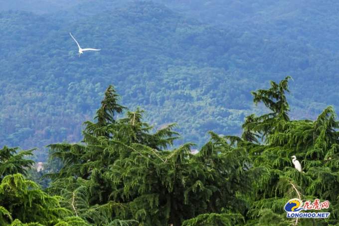 在南京，质量是什么？