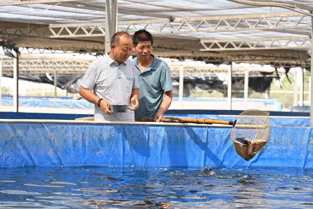 “火洲”吐鲁番，为何能养冷水鱼？