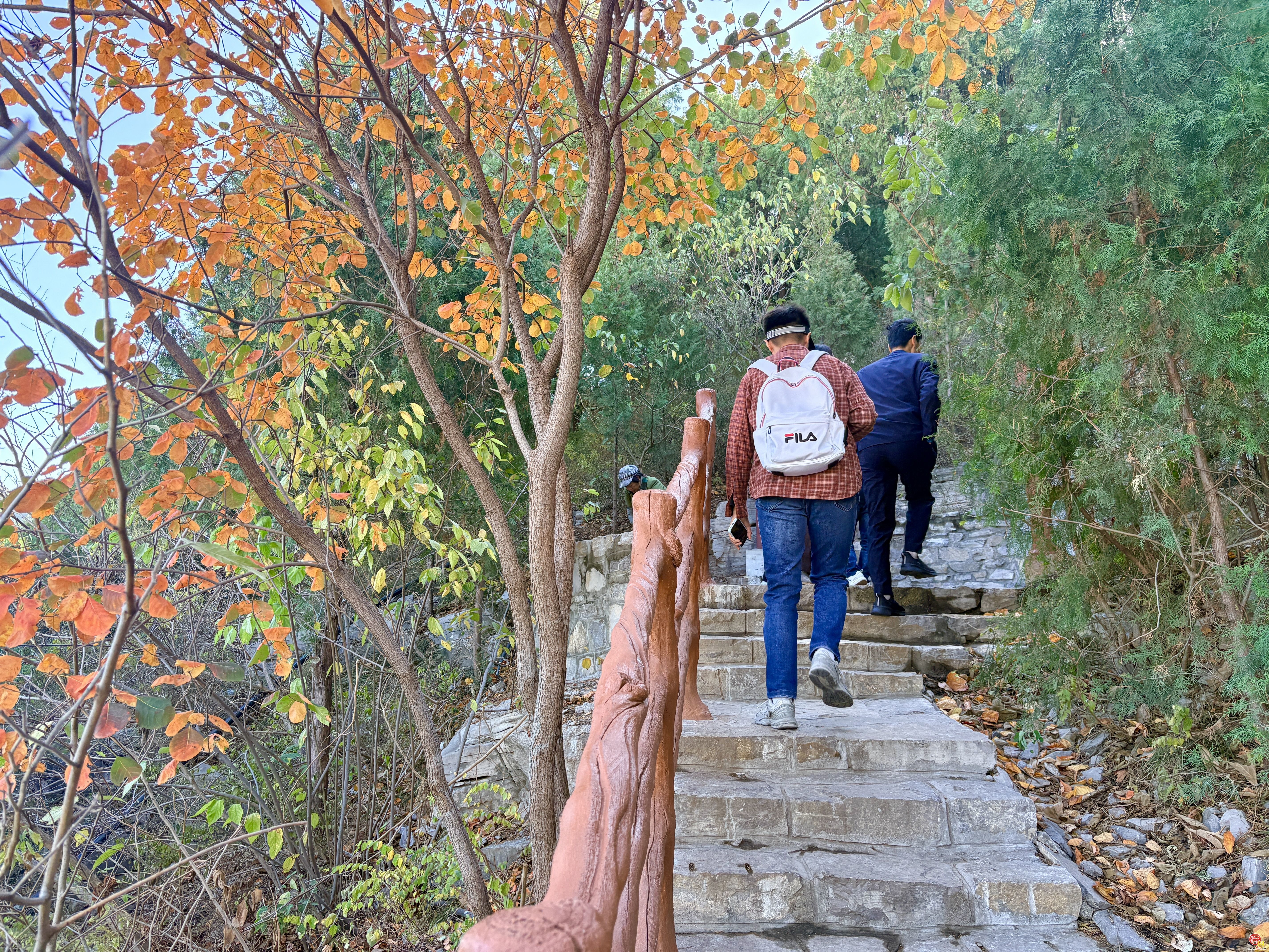 济南蝎子山&ldquo;一山两色&rdquo;景观引客来 服务设...