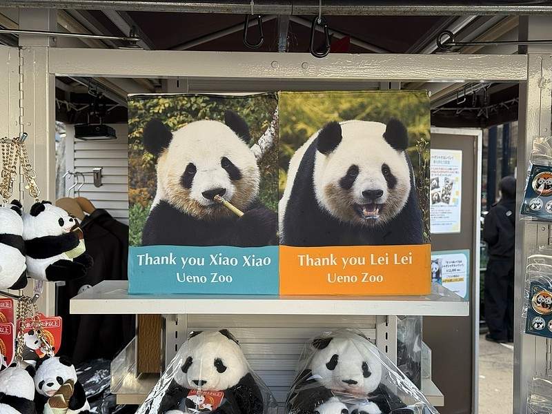 大熊猫“晓晓”和“蕾蕾”将于27日从日本启程回国