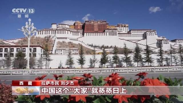 视频丨团结协作、踔厉奋发!习主席二〇二六年新年贺词引发热烈反响