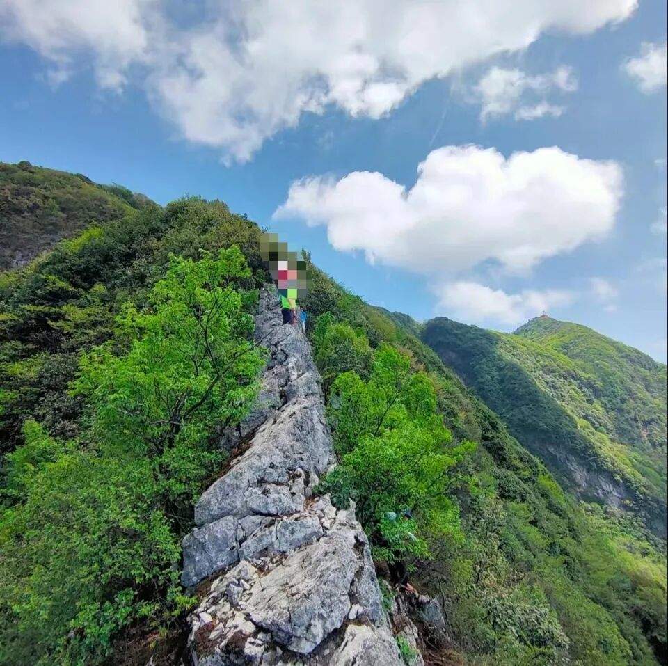 男子因玩手机摔下悬崖，后发朋友圈称“福大命大”？景区：涉事地点禁止攀爬