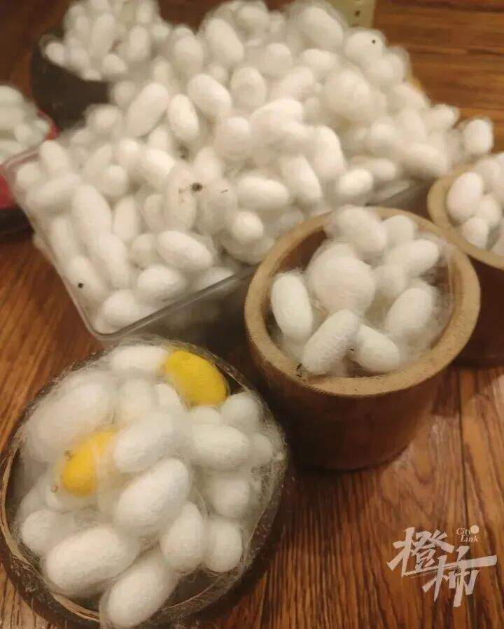 儿子说想做蚕丝被，妈妈网购1万粒蚕卵，耗时64天手搓两床蚕丝被