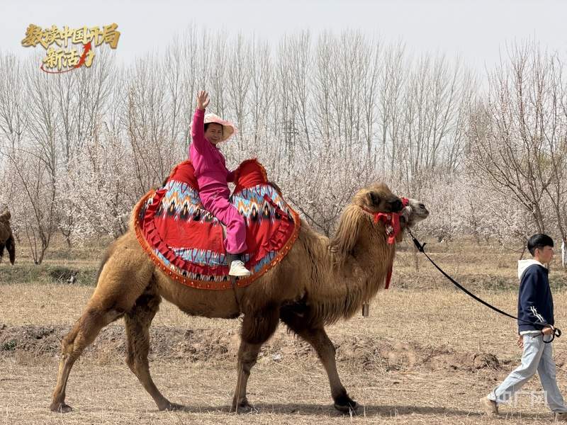 数读中国开局新活力丨272条研学线、28项活动，新疆2026春假文旅“大礼包”尽显多元魅力