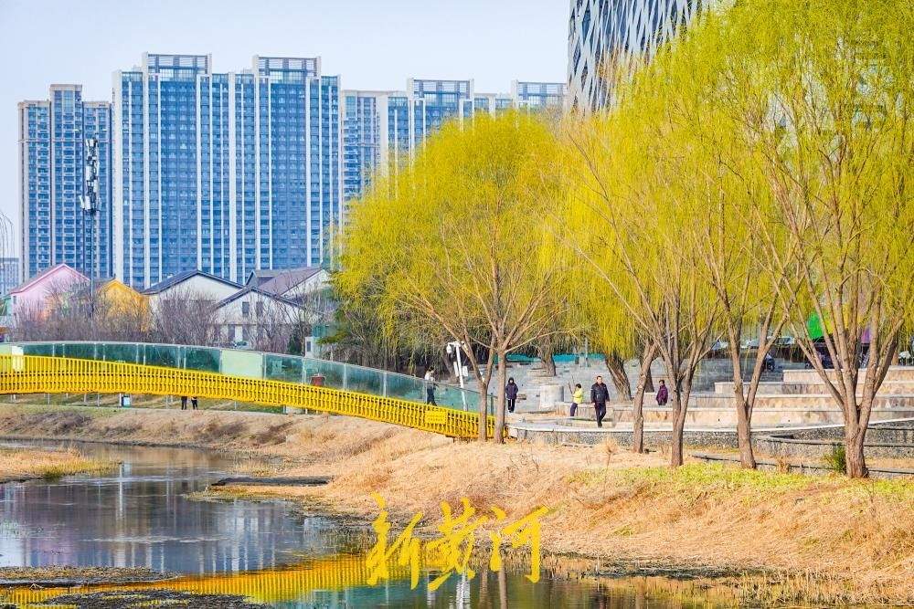 一年四季 泉在济南丨春意渐浓，腊山河畔披绿绽