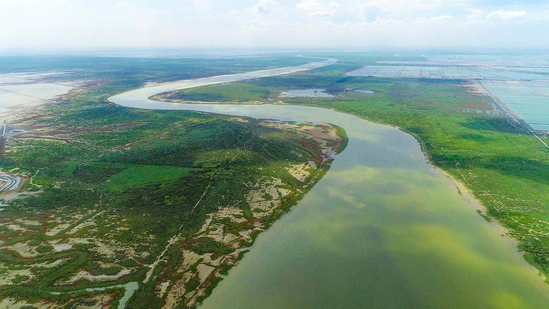 全国两会，山东代表团重点推介！东营“鸟浪”从刷屏热搜到生态金名片