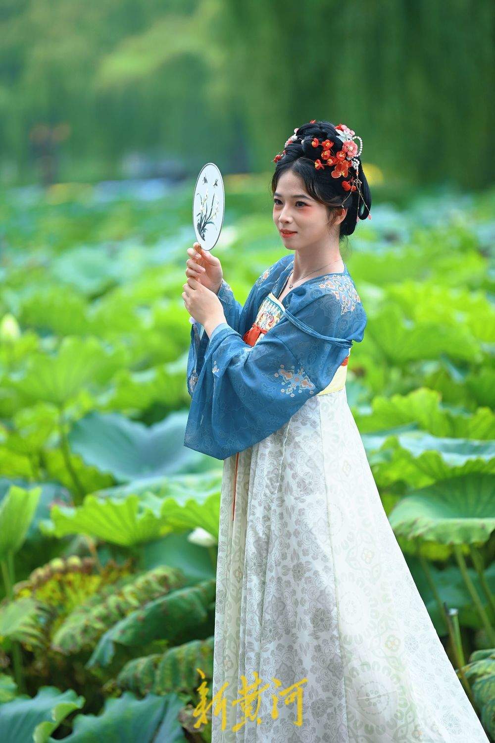 一年四季 泉在济南丨初秋明湖雨荷打卡 泉城美景入画来