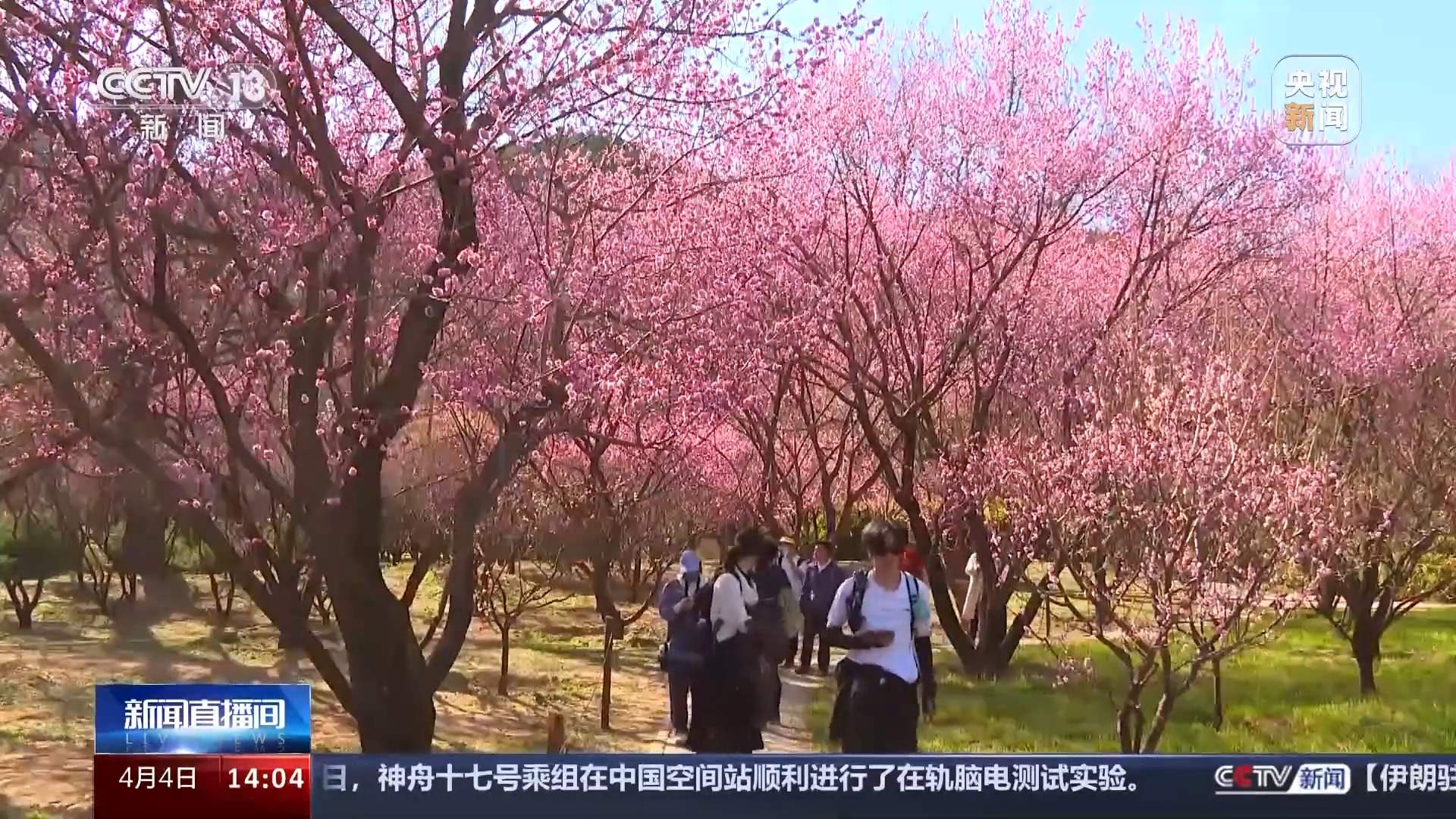 清明假期首日交通情况如何？出行指南→