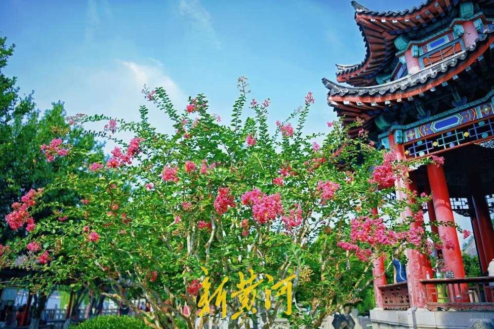 夏花未谢秋正好，大明湖得月亭繁花似锦