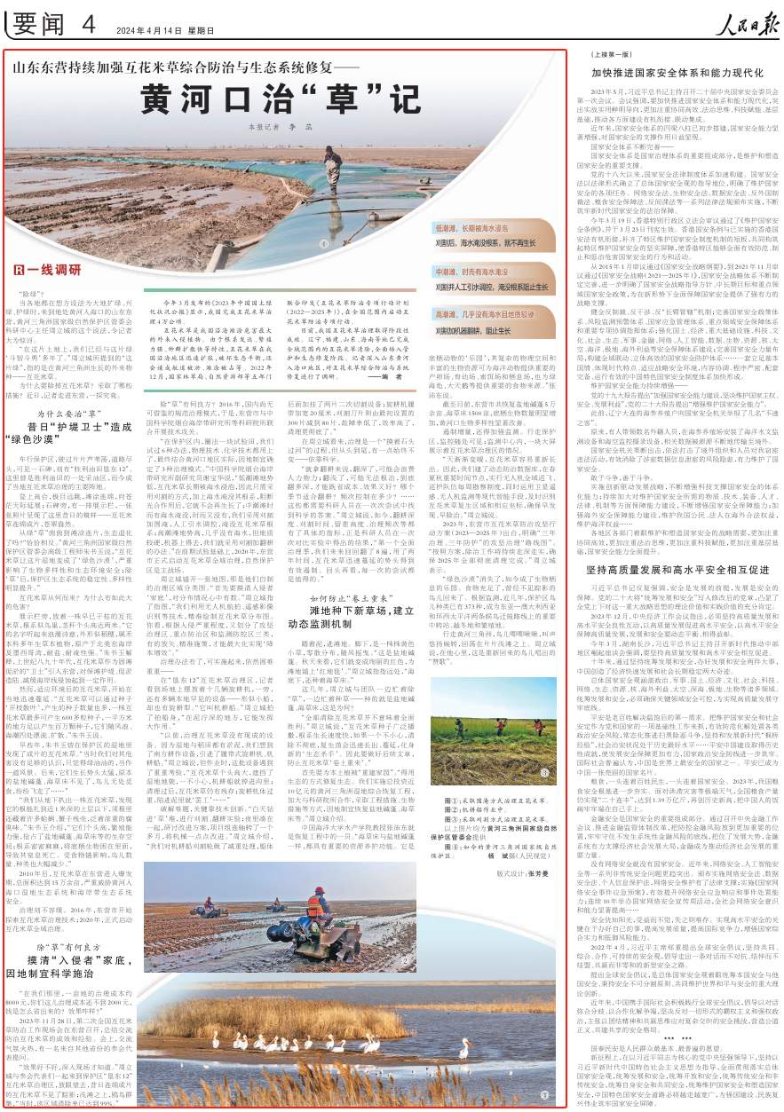 人民日报记者一线调研:山东东营黄河口治“草”记
