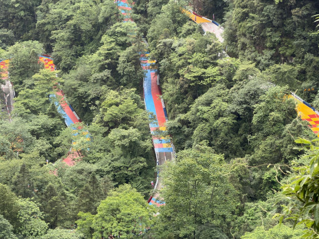 告别走马观花！江津四面山花式解锁山野体验