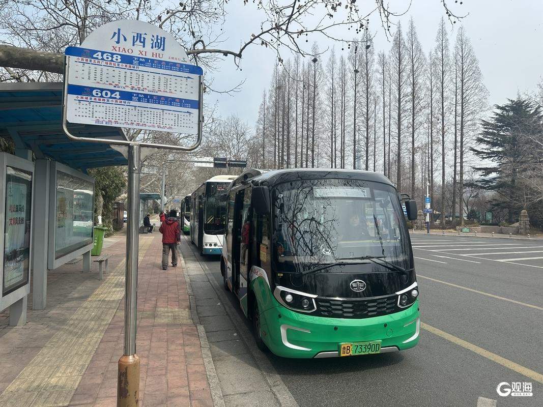 青岛海鸥季进入倒计时，这份“告别指南”请收好！