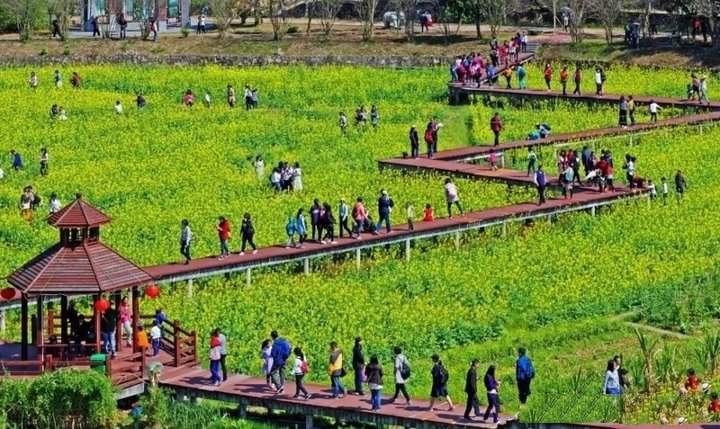 主打松弛感和性价比的“县域乡村游”如何火下去?