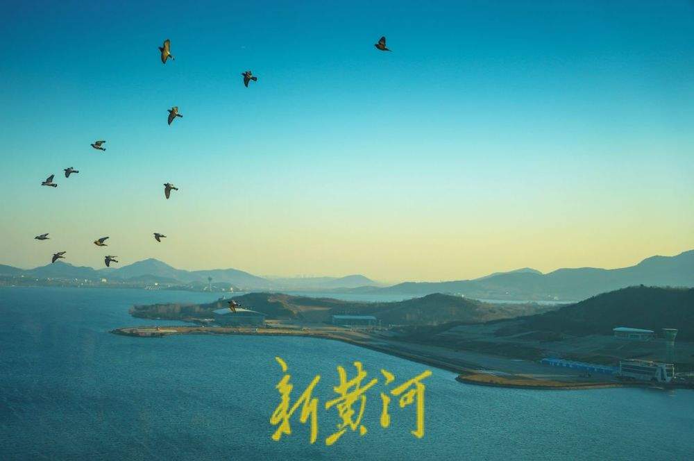 “泉”在济南冬游记｜碧波荡漾！冬日雪野湖美如画