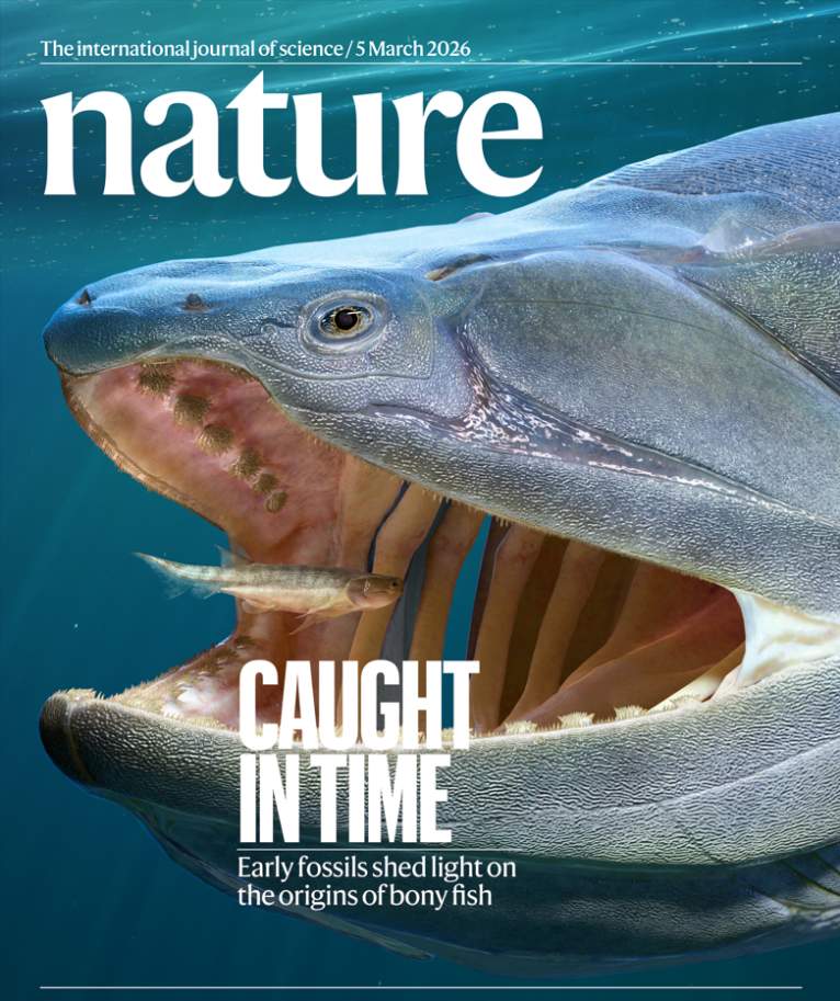 我国硬骨鱼类研究新突破！填补“从鱼到人”演化空白