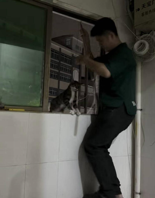 找一次猫狗最高收8000元?揭秘“寻宠师”行业