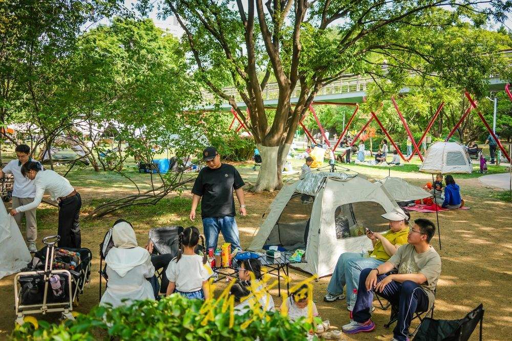 一年四季 泉在济南｜泉城公园露营热潮涌动 市民解锁城市“慢生活”新体验
