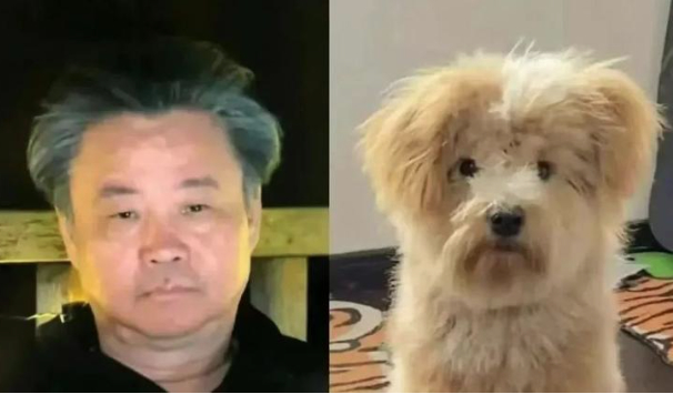 作家余华再回应被网友称作“潦草小狗”：挺好的