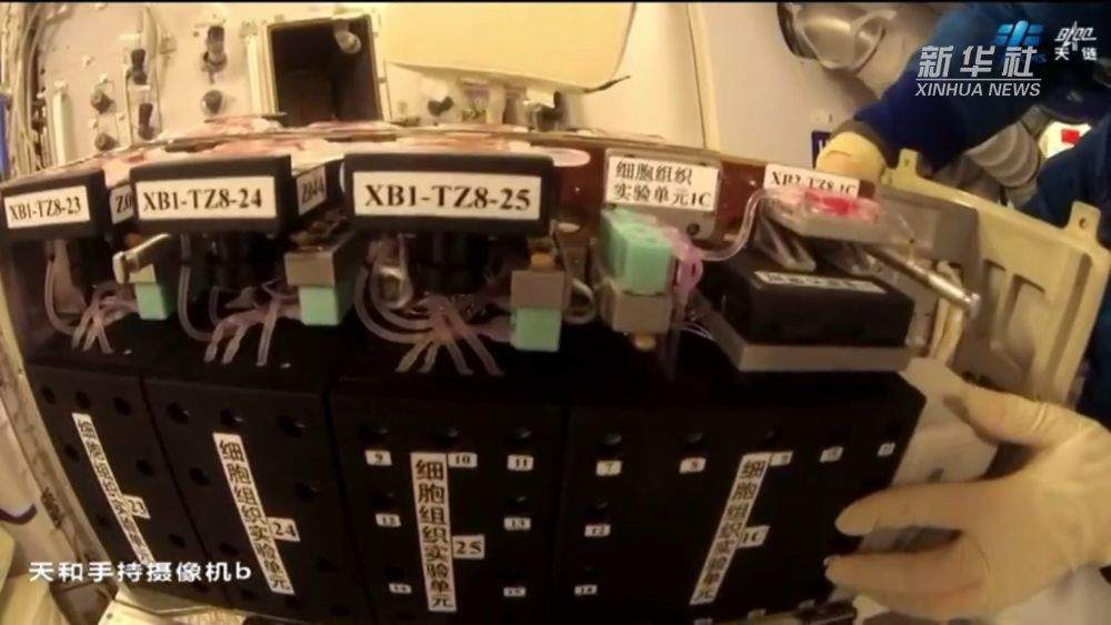 中国空间站:来听听我的太空奇幻之旅