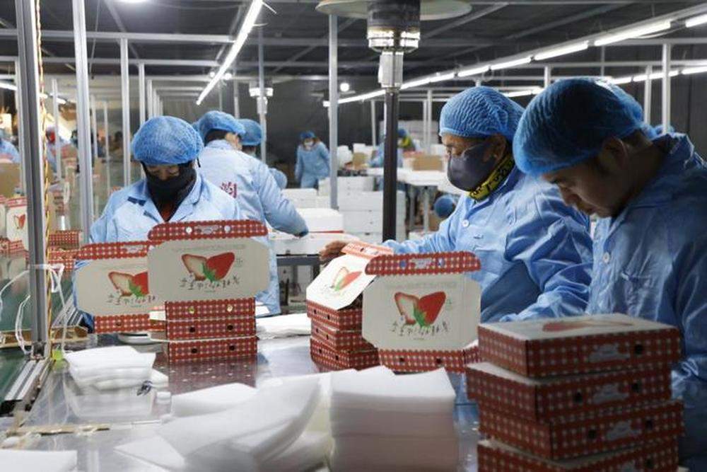 一个市场、一杯牛奶、一颗草莓,看见项目的力量