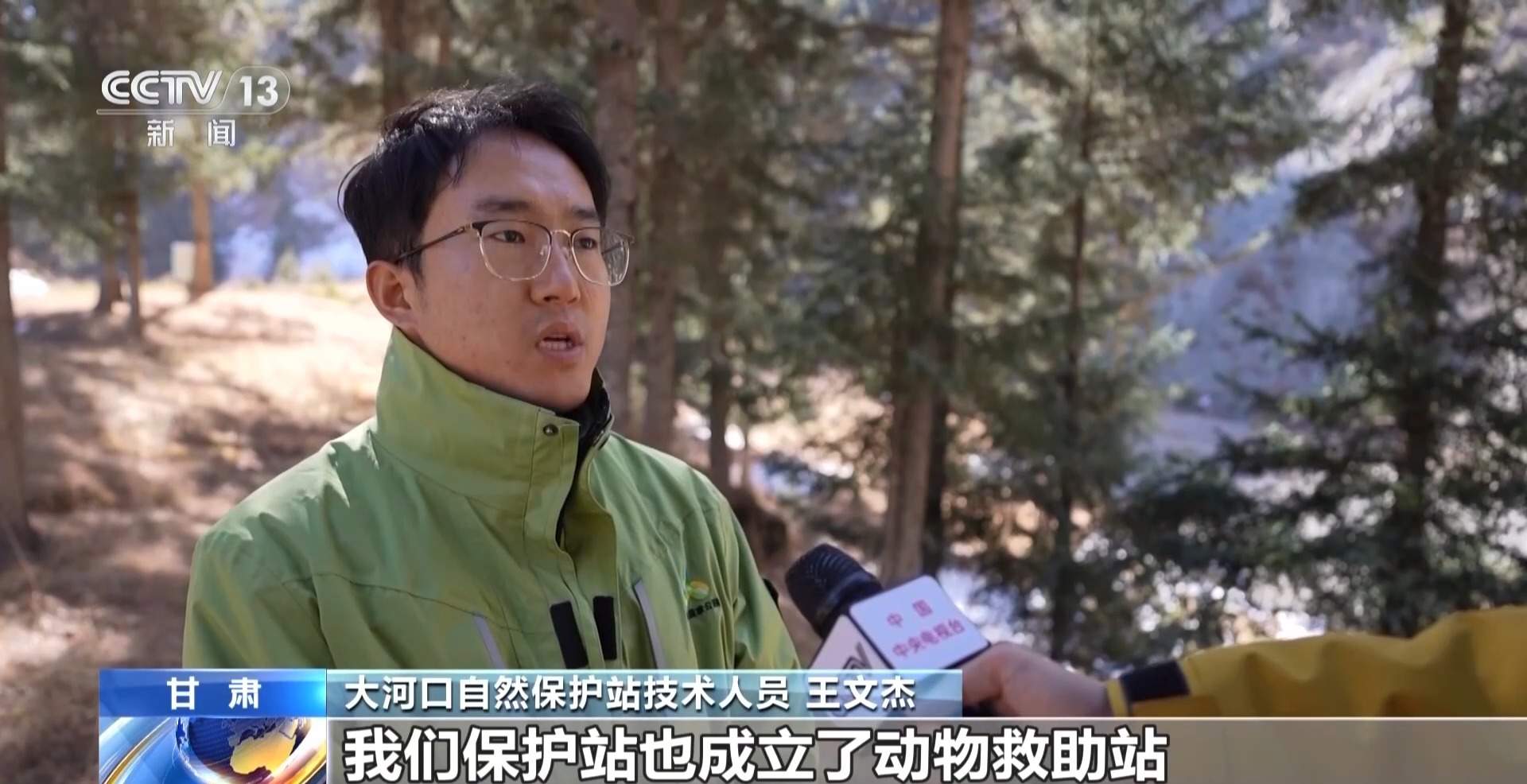 雪豹、岩羊频频露脸 祁连山稳步迈向“由治及美”