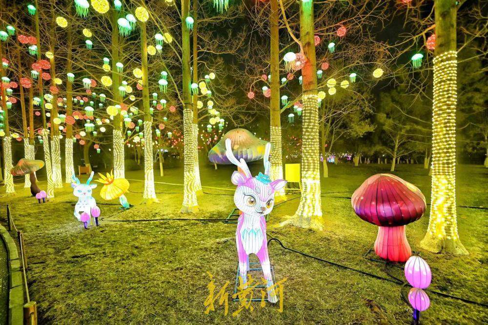 泉城年味渐浓 五龙潭花灯悄然点亮